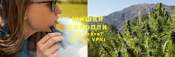 амф Арсеньев