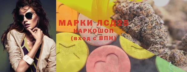 амф Арсеньев