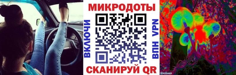 Псилоцибиновые грибы Cubensis Лобня