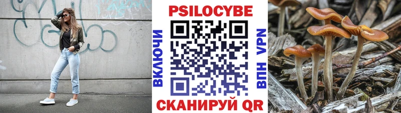 Купить закладки  Лобня  Галлюциногенные грибы прущие грибы 